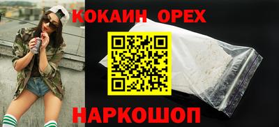 крисы Шебекино