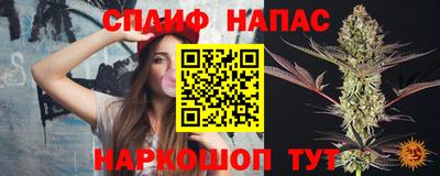 крисы Шебекино