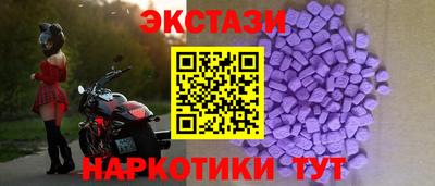 крисы Шебекино