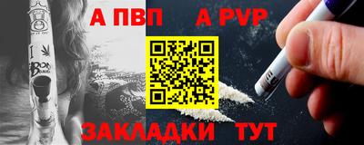 крисы Шебекино