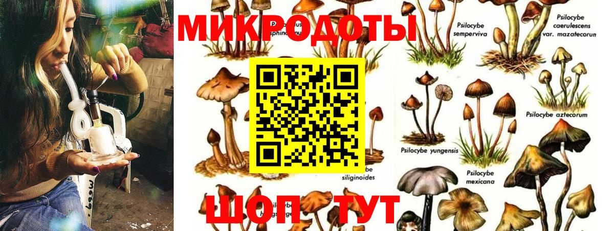 Псилоцибиновые грибы GOLDEN TEACHER Ачинск